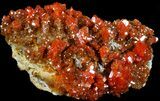 Brilliant Red Vanadinite Crystal Cluster - Morocco #36976-1
